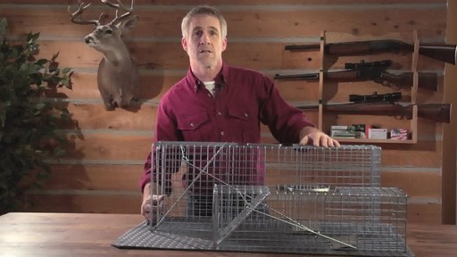 2-Pc. Set of Guide Gear Live Animal Traps - image 7 from the video