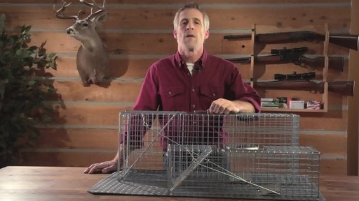 2-Pc. Set of Guide Gear Live Animal Traps - image 9 from the video