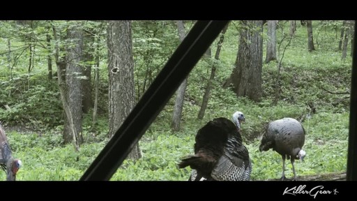 KillerGear JakeFan Turkey Decoy - image 7 from the video