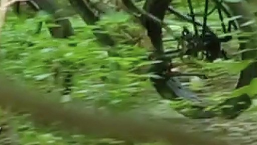 Rambo R750C Camo Motor Bike - image 5 from the video
