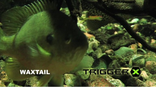 TriggerX® 1