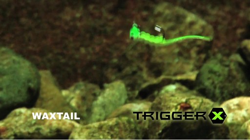 TriggerX® 1