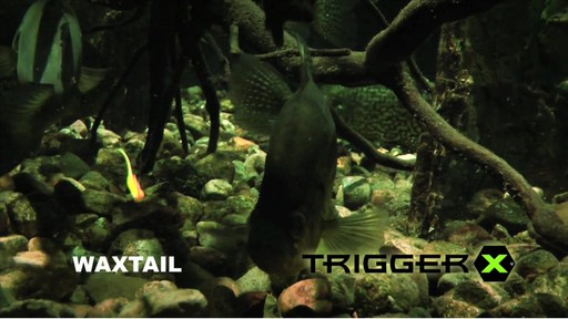 TriggerX® 1