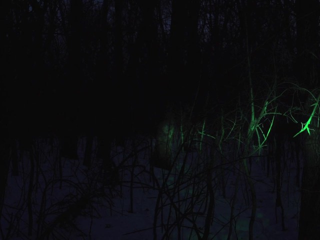 Predator Tactics Green Night Raid Kit - image 4 from the video