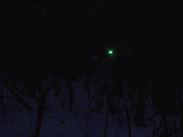 Predator Tactics Green Night Raid Kit - image 5 from the video