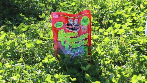 Antler King Game Changer Clover Mix 2.5-lb. Bag - image 2 from the video