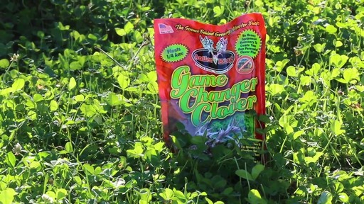 Antler King Game Changer Clover Mix 2.5-lb. Bag - image 9 from the video