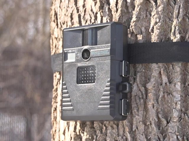 X8IR No Glo Game Camera - image 4 from the video