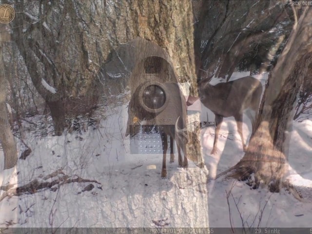 Leupold® RCX-1 8MP Trail Camera with Controller - image 3 from the video