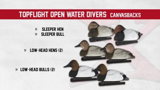Avian-X Topflight Canvasback Decoys 6 pack - image 3 from the video