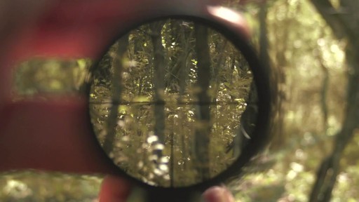 Nikon Buckmasters 3-9x40mm Scope with BDC Reticle - image 6 from the video