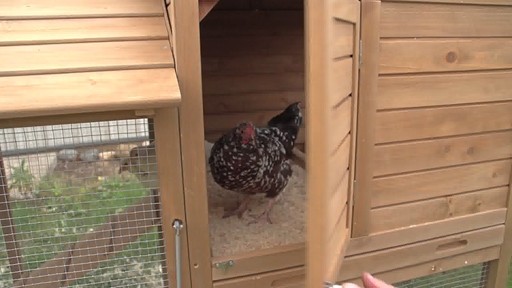 CASTLECREEK Medium Chicken Coop - image 9 from the video