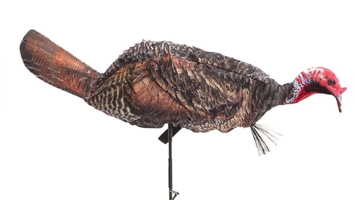 Montana Decoy Purr-Fect Pair 3D Turkey Hunting Decoys - image 3 from the video