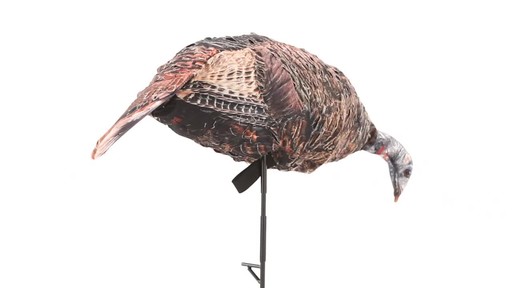 Montana Decoy Purr-Fect Pair 3D Turkey Hunting Decoys - image 9 from the video