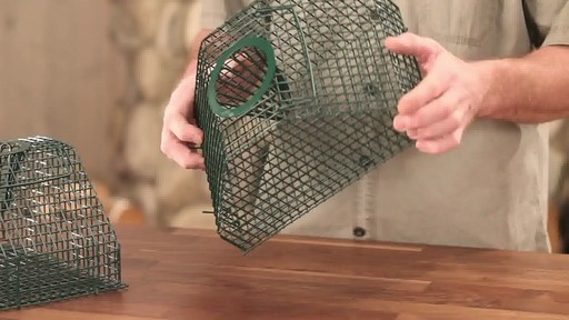 2-Pk. Guide Gear Rodent Traps - image 4 from the video