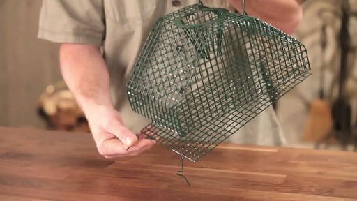 2-Pk. Guide Gear Rodent Traps - image 7 from the video