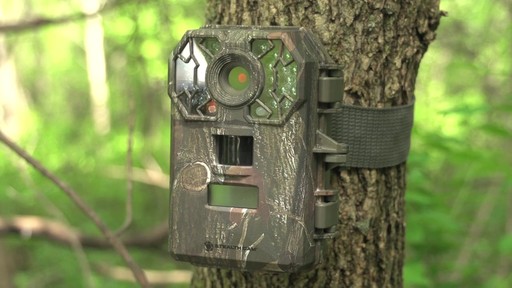 Stealth Cam G-26  Infrared Game Camera 8MP - image 1 from the video