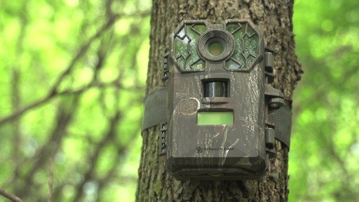 Stealth Cam G-26  Infrared Game Camera 8MP - image 10 from the video