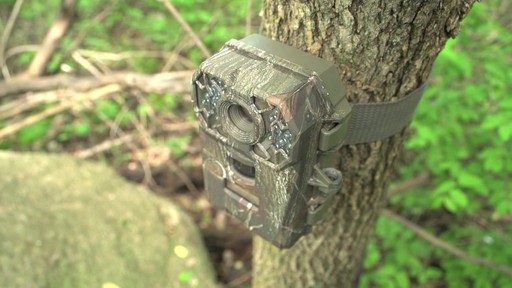 Stealth Cam G-26  Infrared Game Camera 8MP - image 5 from the video