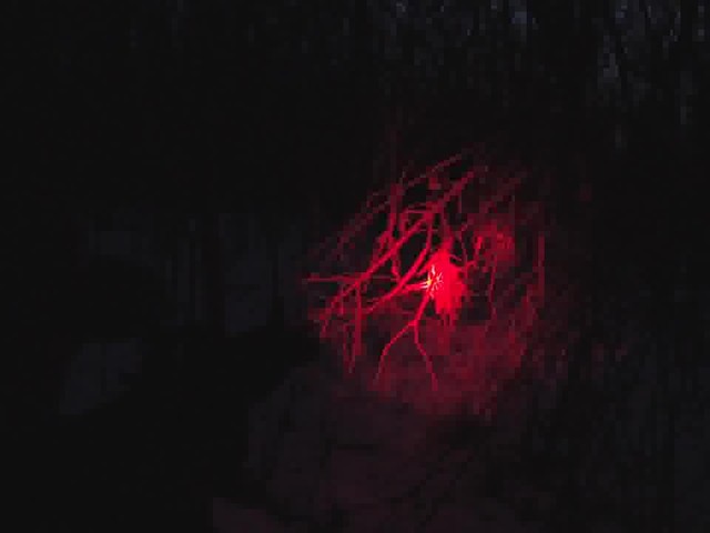 Predator Tactics Red Night Raid Kit - image 3 from the video