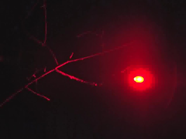 Predator Tactics Red Night Raid Kit - image 7 from the video