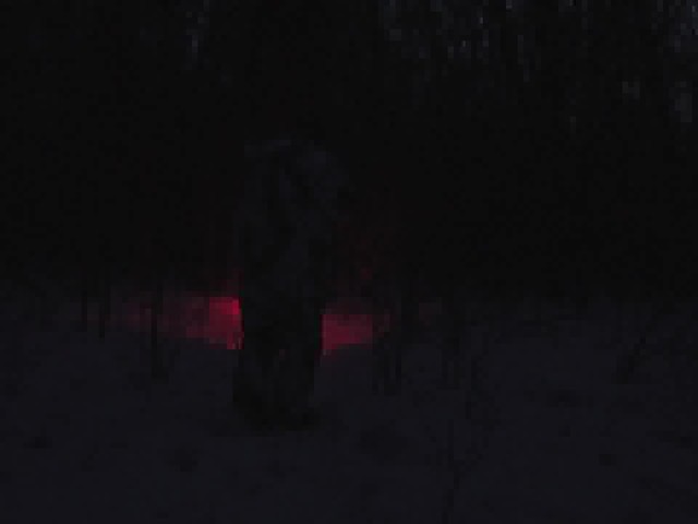 Predator Tactics Red Night Raid Kit - image 8 from the video
