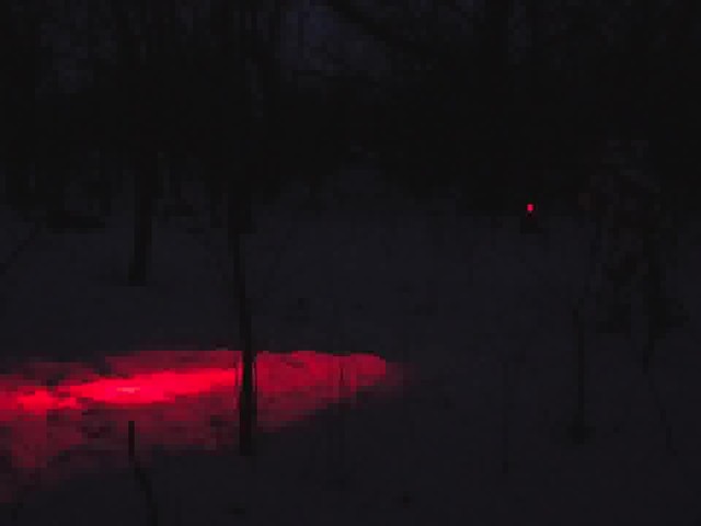 Predator Tactics Red Night Raid Kit - image 9 from the video