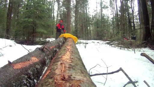 Portable Winch Co. PCW3000 1550-lb. Gas-powered Portable Capstan Winch - image 8 from the video