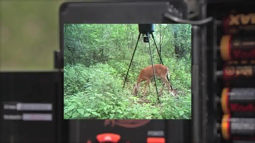 Wildgame Innovations Razor™ 6MP Trail Camera - image 8 from the video