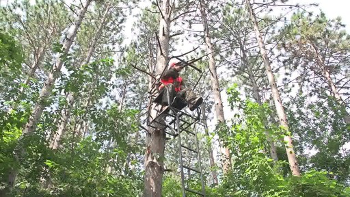 Big Game Celtic Jumbo Ladder Stand - image 3 from the video