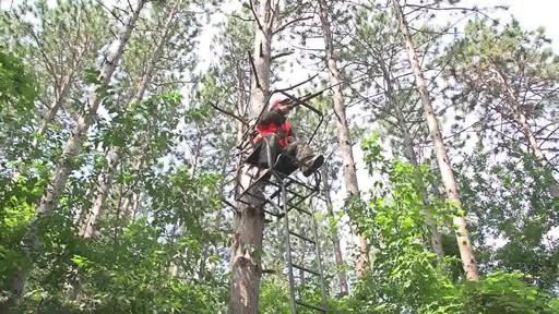 Big Game Celtic Jumbo Ladder Stand - image 3 from the video