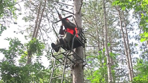 Big Game Celtic Jumbo Ladder Stand - image 4 from the video