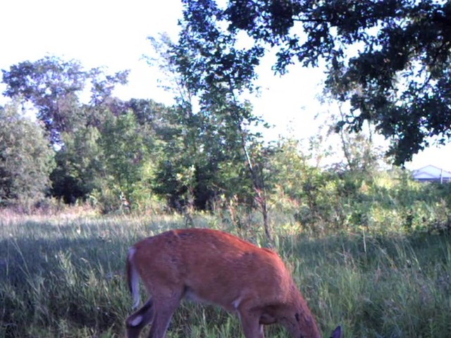 Browning® Range Ops XD7MP Trail Camera - image 5 from the video