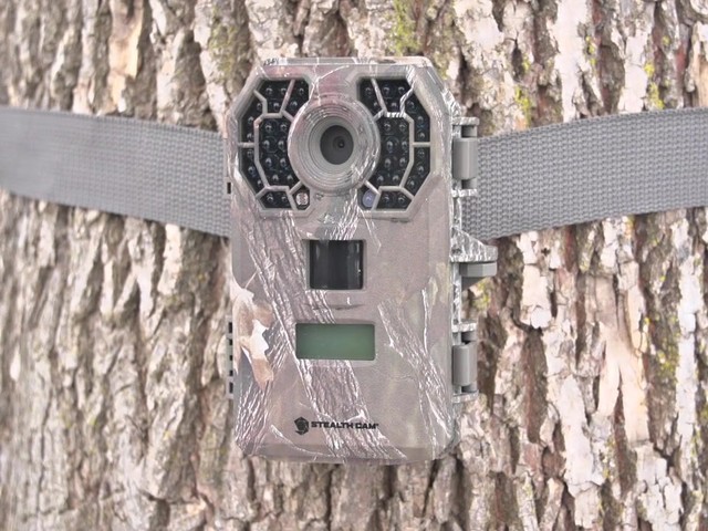 Stealth Cam G42 No Glo 10MP Trail Camera - image 10 from the video