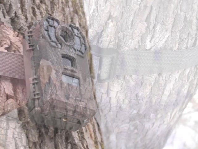 Stealth Cam G42 No Glo 10MP Trail Camera - image 2 from the video