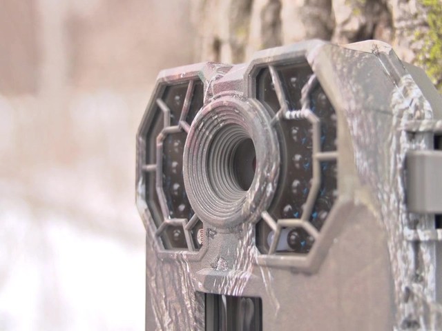 Stealth Cam G42 No Glo 10MP Trail Camera - image 3 from the video