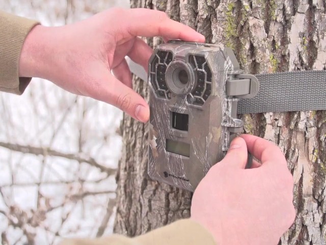 Stealth Cam G42 No Glo 10MP Trail Camera - image 4 from the video