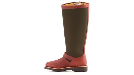 Chippewa Women's Brome 15