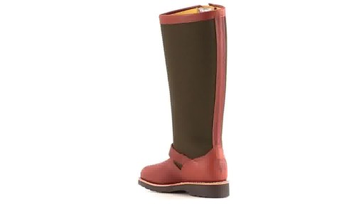 Chippewa Women's Brome 15