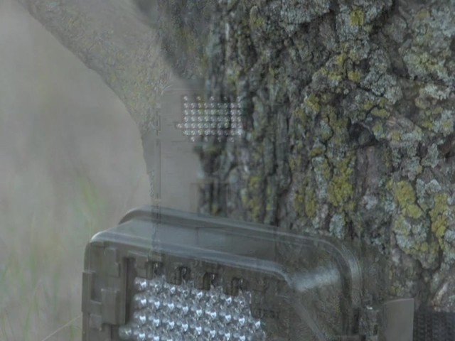Jim Shockey 8MP Shadow Game Camera - image 1 from the video