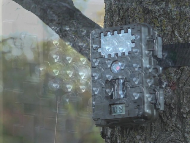 Jim Shockey 8MP Shadow Game Camera - image 5 from the video
