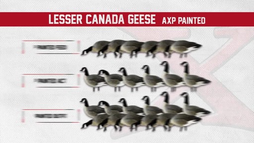 Avian-X AXP Outfitter Lesser Decoys 12 pack - image 6 from the video
