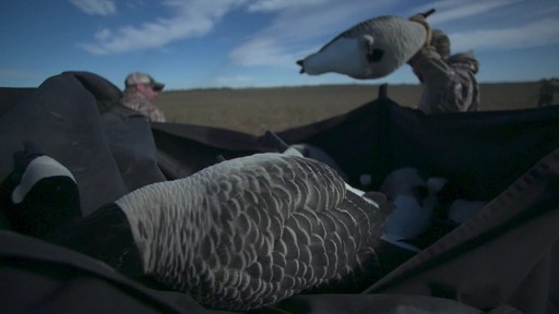 Avian-X AXP Outfitter Lesser Decoys 12 pack - image 7 from the video