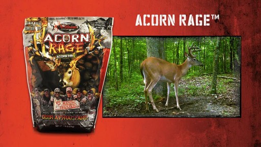 Wildgame Innovations Buck Commander Acorn Rage Deer Attractant 5 lbs. - image 10 from the video