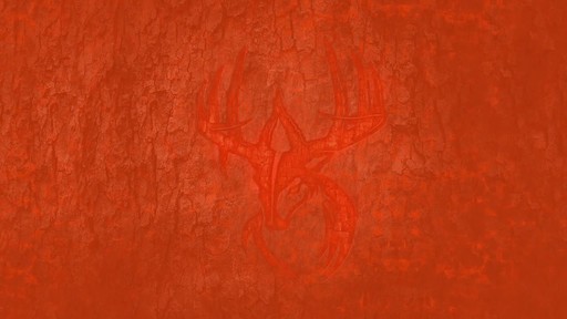 Wildgame Innovations Buck Commander Acorn Rage Deer Attractant 5 lbs. - image 2 from the video