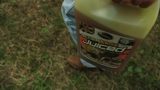 Wildgame Innovations Buck Commander Acorn Rage Deer Attractant 5 lbs. - image 8 from the video