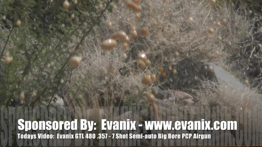 Evanix GTL 480 9mm PCP Air Rifle - image 1 from the video