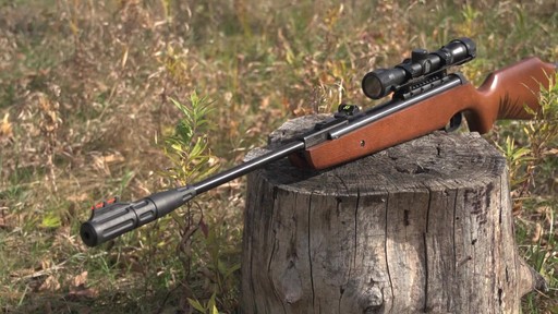 Ruger Silent Hawk Air Rifle - image 10 from the video