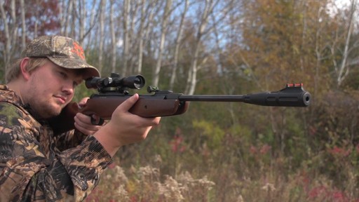 Ruger Silent Hawk Air Rifle - image 3 from the video