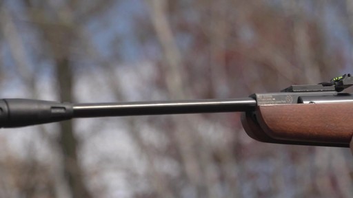 Ruger Silent Hawk Air Rifle - image 8 from the video